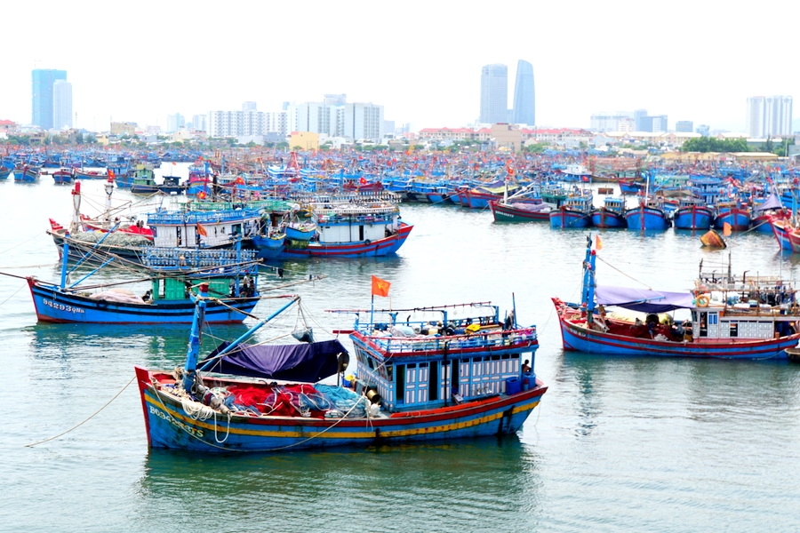 Những nhân tố ảnh hưởng đến sản lượng đội tàu khai thác hải sản TP. Đà Nẵng