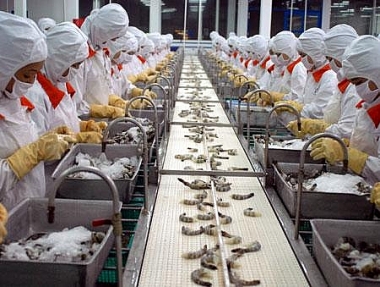 Các nhân tố ảnh hưởng đến sự gắn bó của người lao động trong các doanh nghiệp chế biến thủy sản trên địa bàn tỉnh Cà Mau