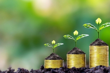 Thực trạng thu hút FDI và xu hướng thu hút FDI xanh tại Việt Nam