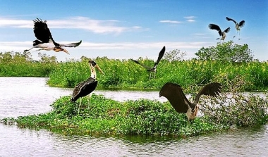 Xác định nhóm nhân tố có ảnh hưởng đến phát triển du lịch sinh thái bền vững: Trường hợp nghiên cứu tại tỉnh Cà Mau