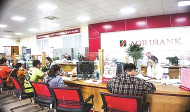 Nâng cao chất lượng thông tin trên báo cáo tài chính của các chi nhánh Agribank tại TP. Hồ Chí Minh