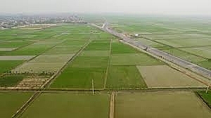 Thúc đẩy tích tụ, tập trung đất nông nghiệp ở Việt Nam: Một số giải pháp trong thời gian tới