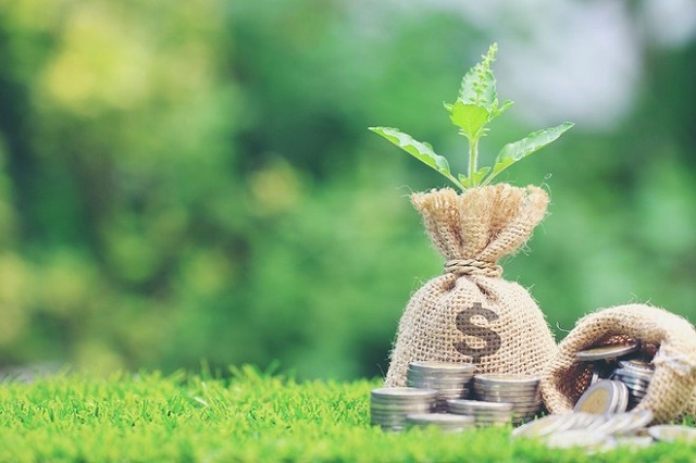 Xu hướng phát triển tín dụng xanh ở Việt Nam: Thực trạng và giải pháp
