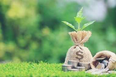 Xu hướng phát triển tín dụng xanh ở Việt Nam: Thực trạng và giải pháp