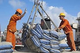 Phòng vệ thương mại trong các FTA thế hệ mới của Việt Nam
