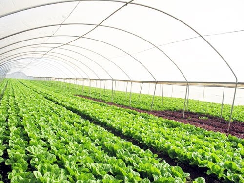 Nhận diện các nhân tố thúc đẩy và cản trở đến phát triển kinh tế tuần hoàn trong nông nghiệp