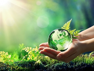 Hoàn thiện thể chế quản lý nhà nước về môi trường ở Việt Nam