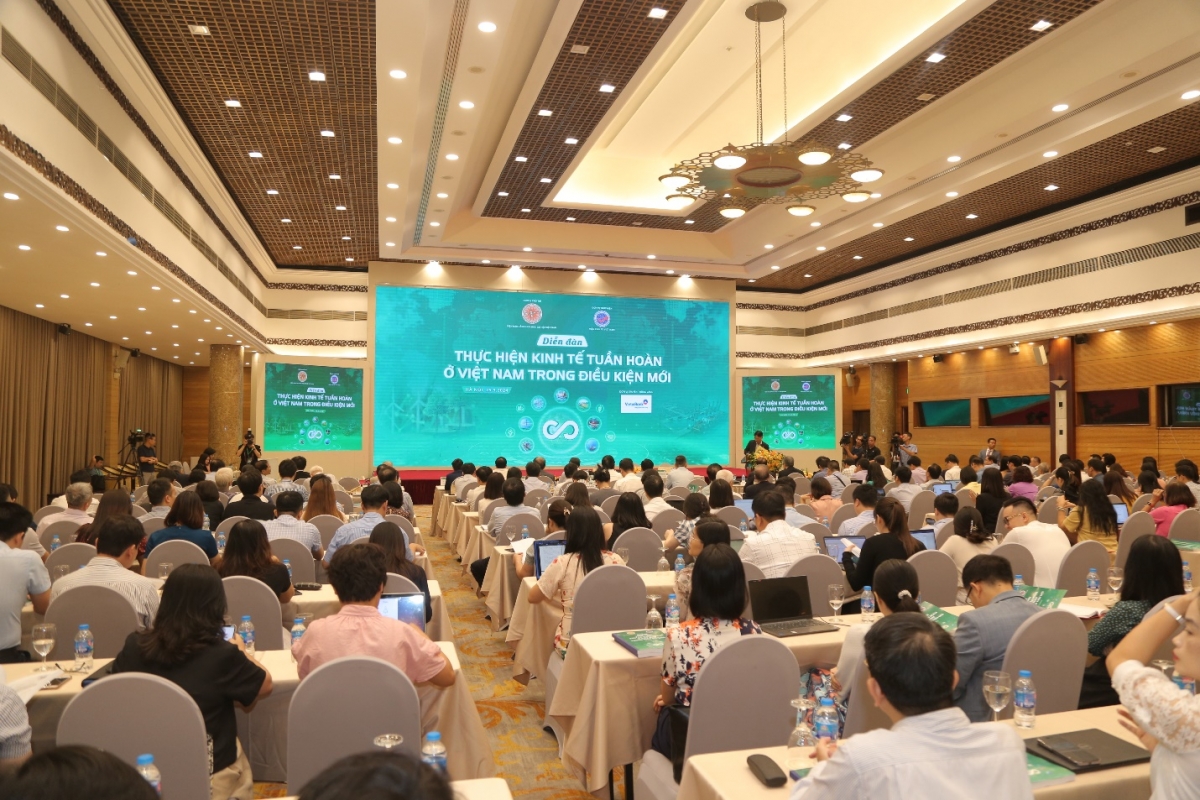 "Cứ 1 triệu USD đầu tư vào năng lượng tái tạo giúp tăng thêm ít nhất 5 việc làm"