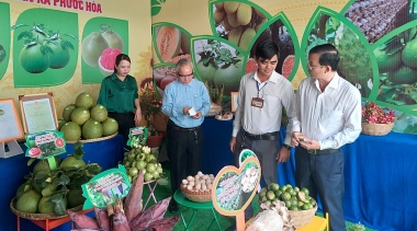 Giải pháp phát triển sản phẩm OCOP trong xây dựng kinh tế nông thôn