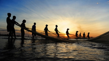 Lênh đênh nghề cá