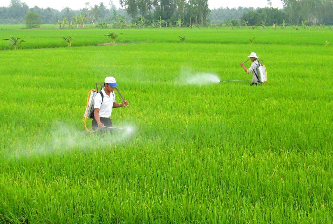 Hoạt động dịch vụ bảo vệ thực vật phải có địa chỉ giao dịch hợp pháp