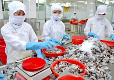VASEP: Xuất khẩu tôm năm 2016 sẽ đạt 3,3 tỷ USD