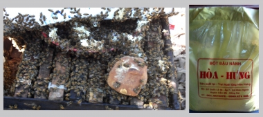 Trại ong mật Hân Hòa Hưng: mô hình kinh tế hiệu quả