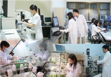 Từ năm 2016, không thành lập mới tổ chức khoa học, công nghệ công lập