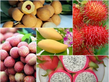 Mặt hàng xuất khẩu nào được dự báo sẽ là điểm sáng trong năm 2017?