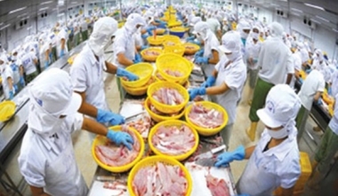 Cần quản lý, sử dụng kháng sinh hiệu quả vì nền nông nghiệp sạch