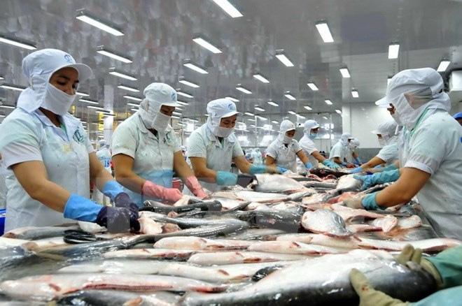 Năm 2017, phấn đấu xuất khẩu thủy sản đạt 7,1 tỷ USD