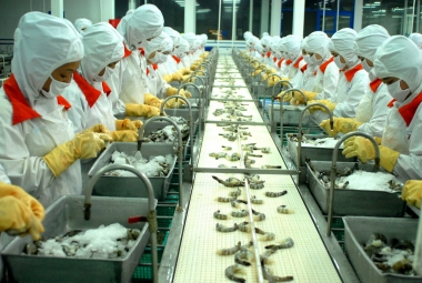 Tháng 1/2017, xuất khẩu nông, lâm, thủy sản ước đạt 2,54 tỷ USD