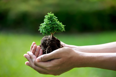 5 lý do sản xuất xanh nên được khuyến khích