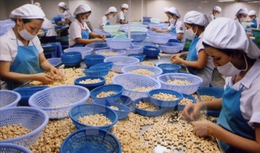 Cả nước có khoảng 518 nghìn doanh nghiệp đang tồn tại