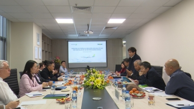 Bamboo Airways sẽ được cấp thêm quyền bay tới Cát Bi, Vân Đồn, Liên Khương, Côn Đảo