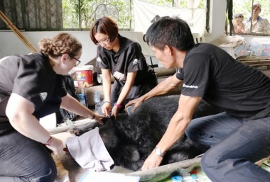 Cứu hộ động vật: Nghề của người yêu thiên nhiên