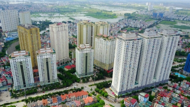 Năm 2020, phân khúc trung cấp tiếp tục thống lĩnh thị trường
