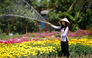 4  làng hoa tươi nức tiếng miền Nam