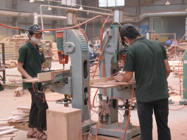 Xây dựng vùng nguyên liệu chế biến xuất khẩu gỗ bền vững