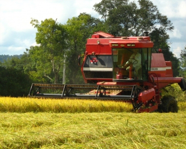 Cơ giới hóa nông nghiệp để nâng sức cạnh tranh