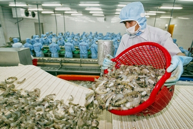 Nới lỏng lệnh cấm nhập khẩu tôm vào Úc