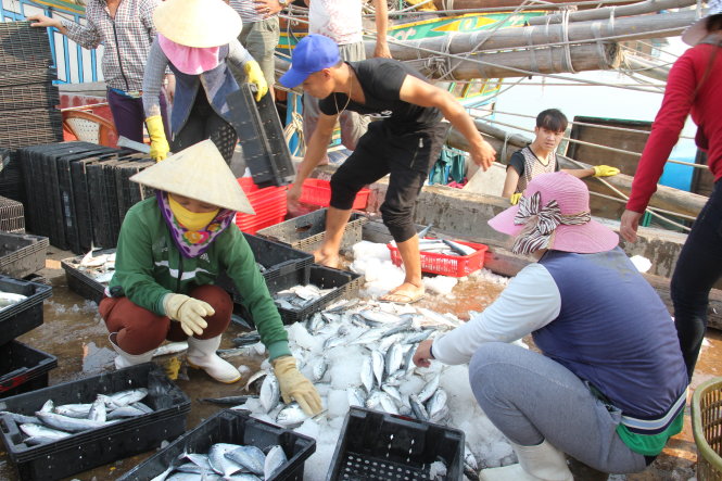 Đã cấp 4.680 tỷ đồng bồi thường vụ Formosa