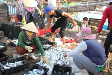 Đã cấp 4.680 tỷ đồng bồi thường vụ Formosa