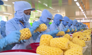 Cần lực đẩy gì để xuất khẩu rau quả đạt mốc 3 tỷ USD?