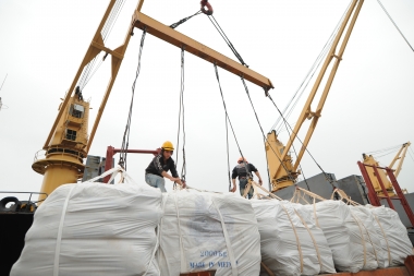 Xóa bỏ rào cản để doanh nghiệp “mang hạt gạo” ra thế giới!