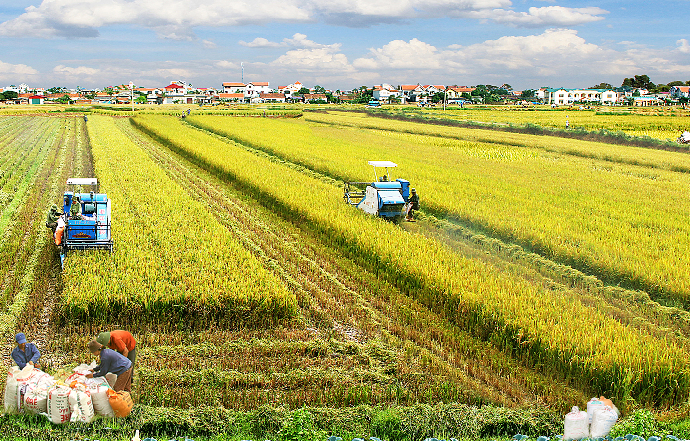 Hoàn thiện chính sách khuyến khích doanh nghiệp đầu tư vào nông nghiệp, nông thôn