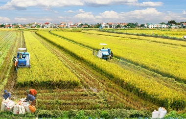 Hoàn thiện chính sách khuyến khích doanh nghiệp đầu tư vào nông nghiệp, nông thôn