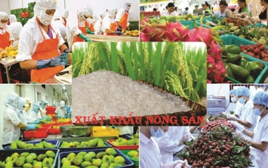 Tháng 1/2020: Xuất khẩu nông, lâm, thủy sản giảm mạnh