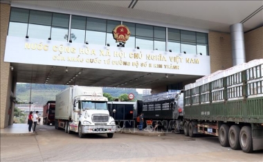 Ngành Hải quan chủ động kế hoạch chống thất thu trước tác động dịch Covid-19
