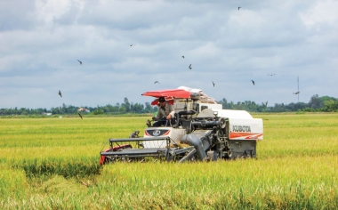 Hoàn thiện, nhân rộng nhân rộng mô hình hợp tác xã kiểu mới