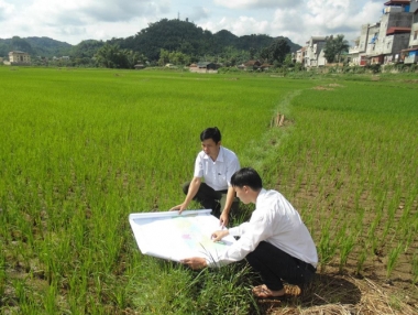 Công bố số liệu kiểm kê đất đai năm 2019 trước quý II/2021