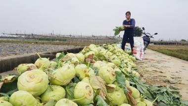 Chính phủ chỉ đạo tháo gỡ khó khăn cho lưu thông hàng hóa