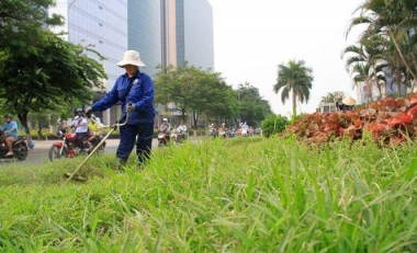 Cổ phần hóa doanh nghiệp công ích: Giải quyết bế tắc, cách nào?