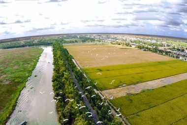Long An chuyển 40,38 ha đất trồng lúa sang đất phi nông nghiệp