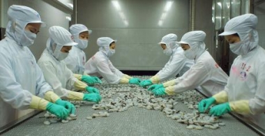 Xuất khẩu tôm 2014: Còn nhiều thách thức