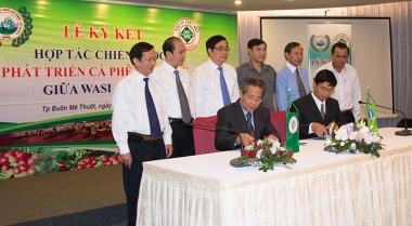 Liên kết giúp nông dân làm giàu từ cây cà phê