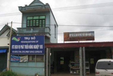 Khoảng 80% hợp tác xã hoạt động trung bình và yếu