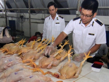 Tồn dư hoá chất, kháng sinh trong sản phẩm thịt đã giảm 73%