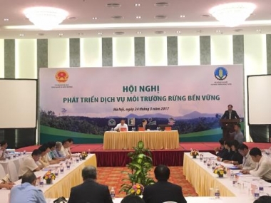 Hơn 500.000 hộ, nhóm hộ gia đình nhận tiền chi trả dịch vụ môi trường rừng