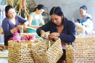 Chế độ tài chính đối với tổ chức tài chính vi mô